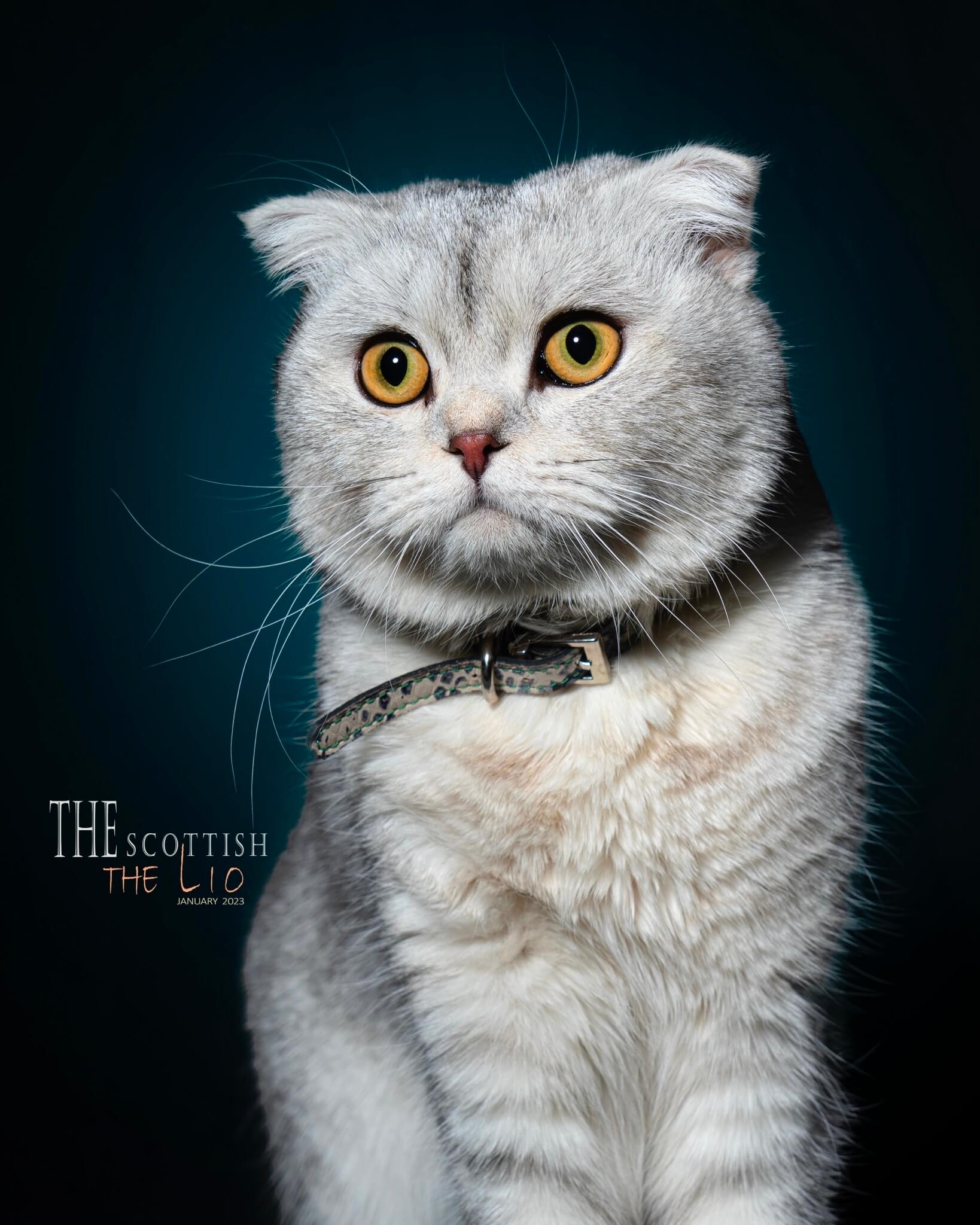 Mehdi Ghasemi PHOTOGRAPHY